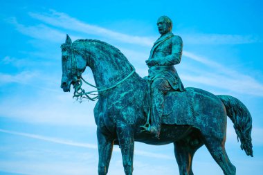 Prince Albert heykel St George 's Hall Liverpool, Ingiltere 'de