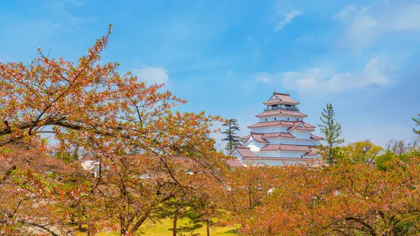 Aizuwakamatsu-Burg mit Kirschblüte in Fukushima, Japan — Stockfoto