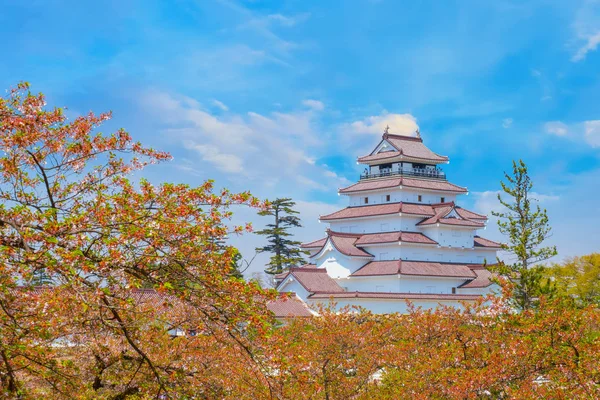 Замок Айдзувакамацу с цветущей вишней в Фукусиме, Япония — стоковое фото
