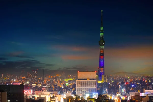 Vue panoramique de la ville de tokyo, la capitale du Japon la nuit — Photo