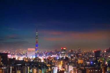 Geceleri Japonya'nın başkenti Tokyo şehrinin manzara manzarası