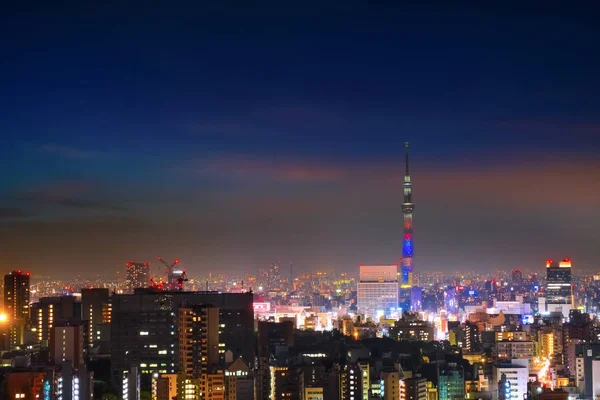 东京市的风景，日本首都在夜晚 — 图库照片