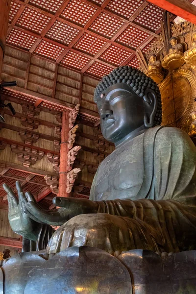 Todaiji Tapınağı nara, Japonya