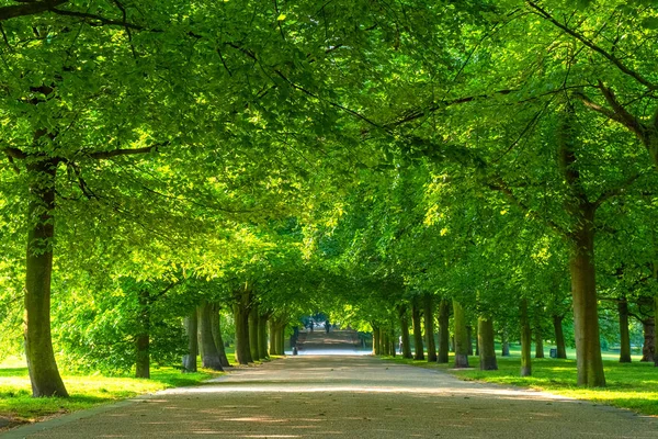 Greenwich Park i London, Storbritannien — Stockfoto