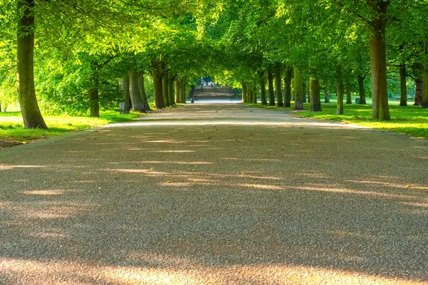 Greenwich Park i London, Storbritannien — Stockfoto