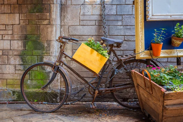 Staré jízdní kola zaparkovaná před zdí s květináči — Stock fotografie