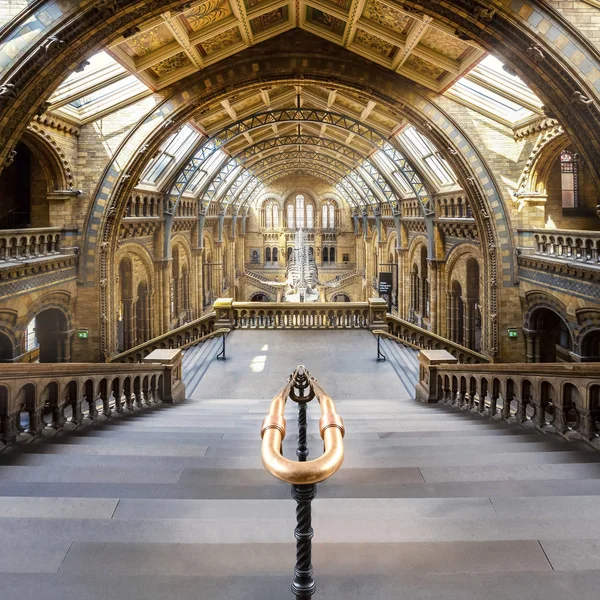 Londres, Royaume-Uni - 14 mai 2018 : The Natural History Museum — Photo