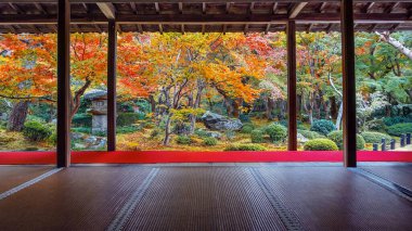 Japonya 'nın Kyoto kentinde sonbaharda güzel yeşillikleri olan Enko-ji tapınağının manzarası.