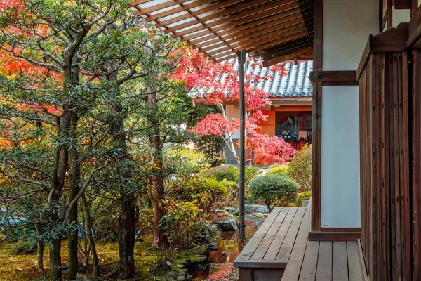Kyoto, Japonya - 22 Kasım 2024: Japonya 'nın Kyoto kentinde sonbaharda güzel yeşillikleri olan Zuishin Tapınağı
