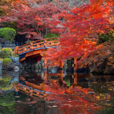 Japonya, Kyoto 'da sonbaharda güzel yeşilliklerle Daigoji Tapınağı manzarası