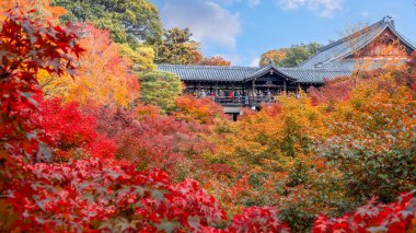Japonya, Kyoto 'da sonbaharda güzel yeşilliklerle Tofukuji Tapınağı manzarası