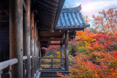 Japonya, Kyoto 'da sonbaharda güzel yeşilliklerle Tofukuji Tapınağı manzarası