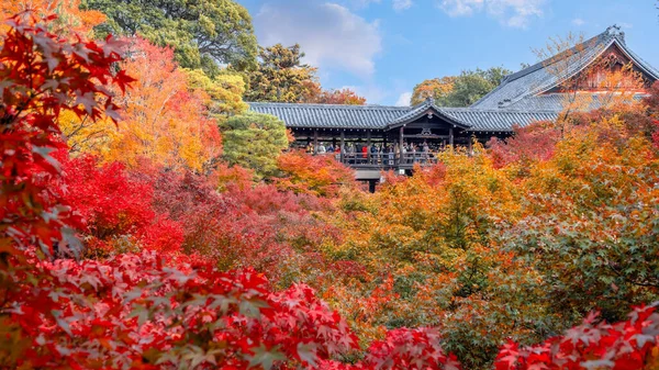 Japonya, Kyoto 'da sonbaharda güzel yeşilliklerle Tofukuji Tapınağı manzarası