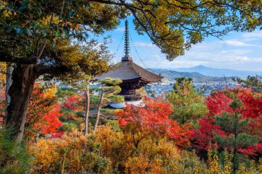 Japonya, Kyoto 'da sonbaharda güzel yeşilliklerle Jojakkoji Tapınağı manzarası