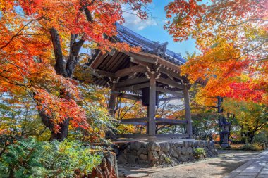 Japonya, Kyoto 'da sonbaharda güzel yeşilliklerle Jojakkoji Tapınağı manzarası