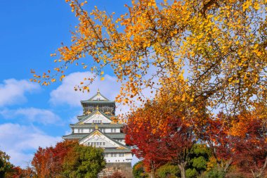 Osaka Kalesi 'nin sonbaharda Osaka, Japonya' da güzel yeşillikleri olan manzarası.