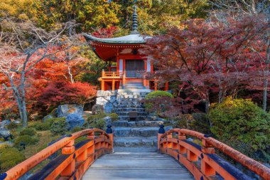 Japonya, Kyoto 'da sonbaharda güzel yeşilliklerle Daigoji Tapınağı manzarası