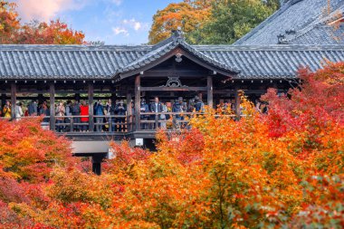 Japonya, Kyoto 'da sonbaharda güzel yeşilliklerle Tofukuji Tapınağı manzarası