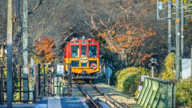 Japonya 'nın Kyoto şehrinde sonbaharda güzel yeşillikleri olan Sagano Romantik Treni