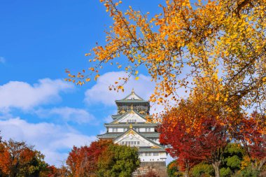 Osaka Kalesi 'nin sonbaharda Osaka, Japonya' da güzel yeşillikleri olan manzarası.