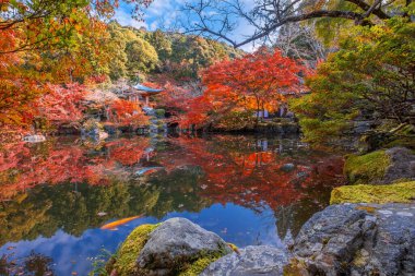 Japonya, Kyoto 'da sonbaharda güzel yeşilliklerle Daigoji Tapınağı manzarası