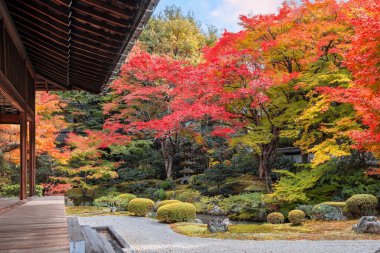 Japonya, Kyoto 'da sonbaharda güzel yeşilliklerle Sennyuji Tapınağı manzarası