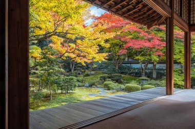 Japonya, Kyoto 'da sonbaharda güzel yeşilliklerle Sennyuji Tapınağı manzarası