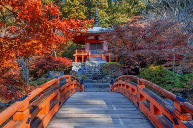 Japonya, Kyoto 'da sonbaharda güzel yeşilliklerle Daigoji Tapınağı manzarası