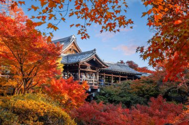 Japonya, Kyoto 'da sonbaharda güzel yeşilliklerle Tofukuji Tapınağı manzarası