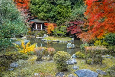 Japonya 'nın Kyoto kentinde sonbaharda güzel yeşillikleri olan Bishamondo Tapınağı manzarası.