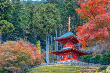 Japonya 'nın Osaka kentinde sonbaharda güzel yeşillikleri olan Katsuoji Tapınağı manzarası