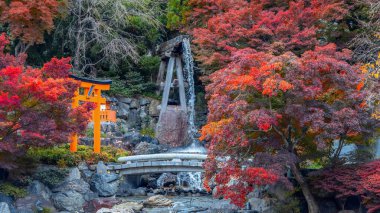 Japonya 'nın Osaka kentinde sonbaharda güzel yeşillikleri olan Katsuoji Tapınağı manzarası