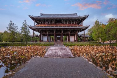 Japonya, Kyoto 'da sonbaharda güzel yeşilliklerle Tofukuji Tapınağı manzarası