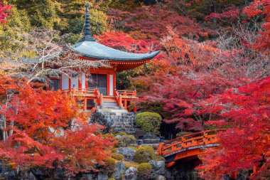 Japonya, Kyoto 'da sonbaharda güzel yeşilliklerle Daigoji Tapınağı manzarası