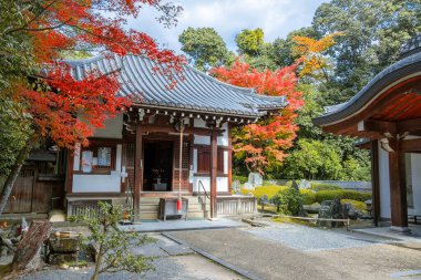 Yokihi Kannondo ya da Sennyuji Tapınağı 'ndaki Yang Guifei Tapınağı sonbaharda Japonya' nın Kyoto şehrinde güzel bir yeşilliğe sahip.