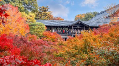 Japonya, Kyoto 'da sonbaharda güzel yeşilliklerle Tofukuji Tapınağı manzarası