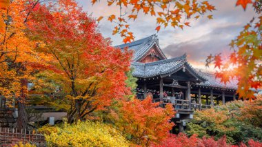 Japonya, Kyoto 'da sonbaharda güzel yeşilliklerle Tofukuji Tapınağı manzarası