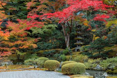 Japonya, Kyoto 'da sonbaharda güzel yeşilliklerle Sennyuji Tapınağı manzarası