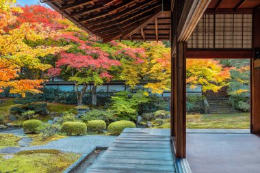 Japonya, Kyoto 'da sonbaharda güzel yeşilliklerle Sennyuji Tapınağı manzarası