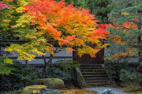 Japonya, Kyoto 'da sonbaharda güzel yeşilliklerle Sennyuji Tapınağı manzarası