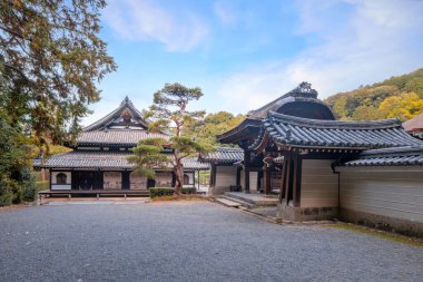 Japonya, Kyoto 'da sonbaharda güzel yeşilliklerle Sennyuji Tapınağı manzarası