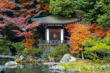 Japonya 'nın Kyoto kentinde sonbaharda güzel yeşillikleri olan Bishamondo Tapınağı manzarası.