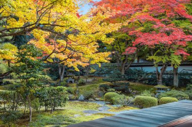 Japonya, Kyoto 'da sonbaharda güzel yeşilliklerle Sennyuji Tapınağı manzarası