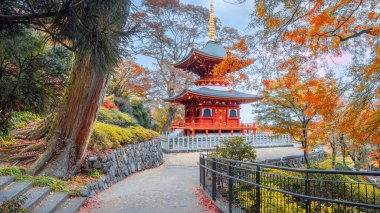 Japonya 'nın Kyoto kentinde sonbaharda güzel yeşillikleri olan Katsuoji Tapınağı manzarası