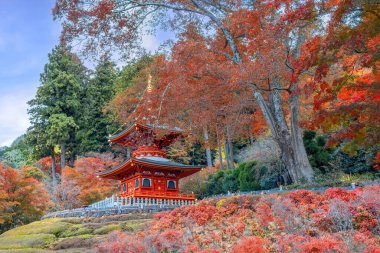 Japonya 'nın Osaka kentinde sonbaharda güzel yeşillikleri olan Katsuoji Tapınağı manzarası