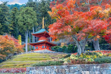 Japonya 'nın Osaka kentinde sonbaharda güzel yeşillikleri olan Katsuoji Tapınağı manzarası
