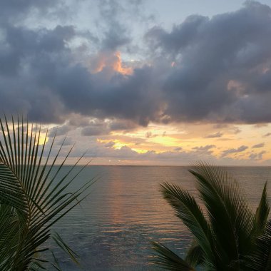 Okyanus. Deniz. Mauritius. İnanılmaz güzel şafak ağaçları okyanus tropiklerini bulutlandırıyor.