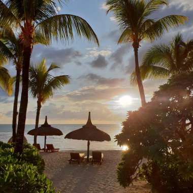 Tropik bir sahilde şafak vakti. Mauritius. Plaj, palmiye ağaçları ve güzel bir gündoğumu..
