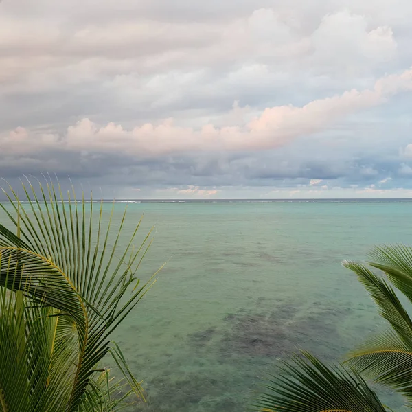 Calm Ocean Palm Trees Sunrise — Stock Photo, Image