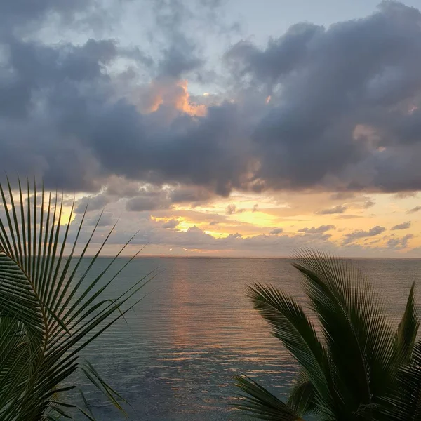 Okyanus. Deniz. Mauritius. İnanılmaz güzel şafak ağaçları okyanus tropiklerini bulutlandırıyor.